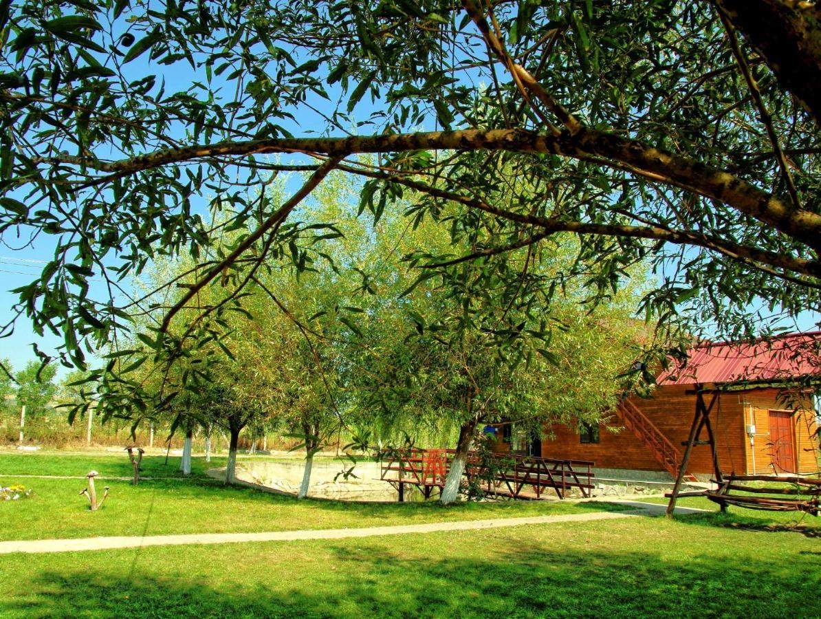 Pensiunea ,,La Struti" Târgu Neamț Exterior photo