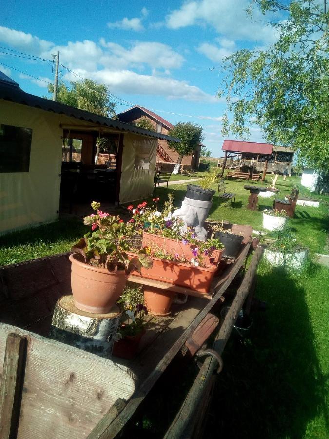 Pensiunea ,,La Struti" Târgu Neamț Exterior photo